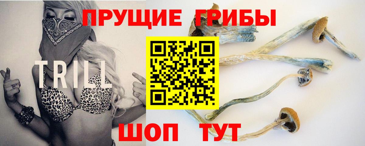 Аксай  Псилоцибиновые грибы Magic Shrooms  Вход с VPN 